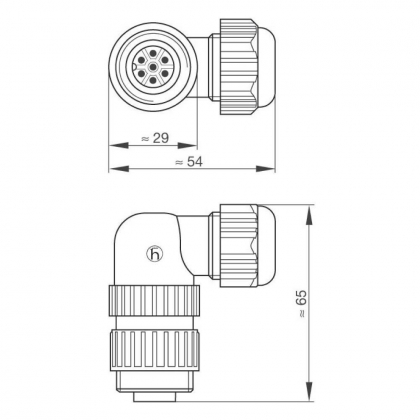 Hirschmann IP67 connector male 7-polig haaks