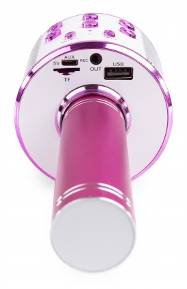 KARAOKE MICROFOON MET INGEBOUWDE SPEAKER BT ROZE