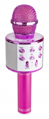 KARAOKE MICROFOON MET INGEBOUWDE SPEAKER BT ROZE