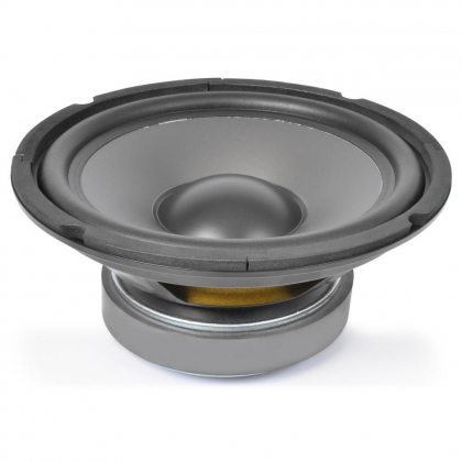 10" Hi-Fi Woofer met PP conus