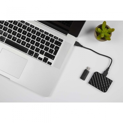 PinStripe USB Stick USB 2.0 16GB Zwart
