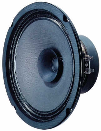BG 20 - 8 Ohm 20 cm (8") full-range luidspreker