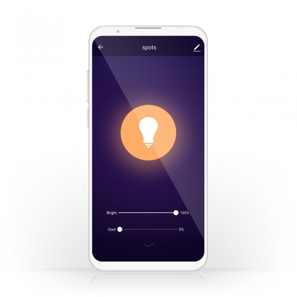 SmartLife LED Filamentlamp | Wi-Fi | E27 | 350 lm | 5.5 W | Koel Wit / Warm Wit | 1800 - 6500 K | Glas | Android™ / IOS | ST64