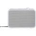 DABMAN i460 multifunctionele radio wit-zilver