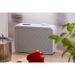 DABMAN i460 multifunctionele radio wit-zilver