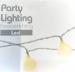 BOL LED 80 LAMPS 25MM WARM WIT FEESTVERLICHTING
