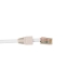 CAT6 RJ 45+T/100 CAT6 dataconnector RJ45 met witte thule - 100 stuks