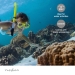 Action Cam | Dubbel scherm | 4K@30fps | 16 MPixel | Waterbestendig tot: 30.0 m | 90 min | Wi-Fi | App beschikbaar voor: Android™ / IOS | Mounts inbegrepen | Zwart