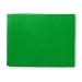 Achtergronddoek voor Fotostudio | 2,95 x 2,95 m | Groen