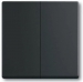 BK34750  Busch Jaeger Future Linear bedieningstoets tweevoudig mat zwart