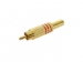 MANNELIJKE RCA PLUG - VERGULD - ROOD