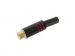 CA062R VROUWELIJKE RCA PLUG - VERGULD CONTACT - ZWARTE METALEN BEHUIZING - ROOD