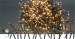 Kerstverlichting | Cluster | 768 LED's | Warm Wit | 5.60 m | Licht effecten: 7 | Binnen & Buiten | Netvoeding