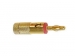 CM25R BANANAALSPANGERS 4mm GOUD - ROOD