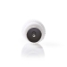 IEC (Coax) Connector | Recht | Male | Vernikkeld | 75 Ohm | Schroef | Diameter kabelinvoer: 7.0 mm | Metaal / Polyvinylchloride (PVC) | Wit | 2 Stuks | Doos