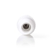 IEC (Coax) Connector | Recht | Male | Vernikkeld | 75 Ohm | Schroef | Diameter kabelinvoer: 7.0 mm | Metaal / Polyvinylchloride (PVC) | Wit | 2 Stuks | Doos