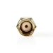 CSGP02111GD SMA-Adapter | SMA Male Omgekeerde Polariteit | SMA Female | Verguld | 50 Ohm | Recht | Koper | Goud | 2 Stuks | Envelop