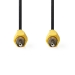 CVGP24100BK100 Composiet Videokabel | RCA Male | RCA Male | Vernikkeld | 480p | 10.0 m | Rond | PVC | Zwart | Envelop