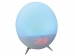 CRL-310 - WEKKERRADIO MET WEKLAMP EN NATUURGELUIDEN