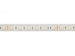 E24W230W65 FLEXIBELE LEDSTRIP - WIT 6500K - 60 LEDs/m - 5 m - 24 V - IP68 - CRI90