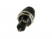 ZEKERINGHOUDER VOOR CHASSISMONTAGE 5 x 20mm