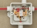 MICRO-DRAADCONNECTOR VOOR VERDEELDOZEN 4-ADERIG KLEMMENBLOK, ROOD