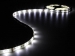 LB12M210CWN 12V FLEXIBELE LEDSTRIP - KOUDWIT - 30 LEDs - per meter