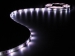 LB12M210RGBNMTR FLEXIBELE RGB-LEDSTRIP - 30 LEDS - PER METER - 12 V