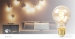 LED-Filamentlamp E27 | A60 | 5 W | 250 lm | 2000 K | Met Gouden Afwerking | Retrostijl | Aantal lampen in verpakking: 1 Stuks