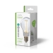 LED-Filamentlamp E27 | A70 | 12 W | 1521 lm | 2700 K | Dimbaar | Warm Wit | Retrostijl | 1 Stuks