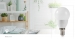 LED-Lamp E14 | G45 | 3.5 W | 250 lm | 2700 K | Warm Wit | Frosted | 1 Stuks