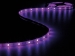 LEDS19RGB KIT MET FLEXIBELE LED-STRIP, CONTROLLER EN VOEDING - RGB - 150 LEDs - 5 m - 12 Vdc