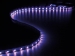 LEDS16UV KIT MET FLEXIBELE LED-STRIP EN VOEDING - ULTRAVIOLET - 300 LEDS - 5 m - 12Vdc - ZONDER COATING
