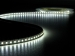 FLEXIBELE LEDSTRIP - KOUDWIT 6500K - 600 LEDs - 5 m - 24 V
