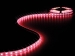 LS24M230RGB1 FLEXIBELE LEDSTRIP - RGB - 300 LEDs - 5 m - 24 V