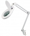 Tafellamp met Vergrootglas Vergrotende Lamp 22 W 6400 K Wit