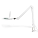 Tafel-Loeplamp | Lenssterkte: 3 Diopter | 6500 K | 10 W | 660 lm | Wit