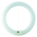 DTP01203 Philips TLE buis rond Circular 40W 830