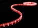 RODE LED LICHTSLANG - 5 meter