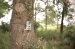 Wildcamera 10.0 MPixel