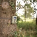 Wildcamera 12.0 MPixel