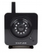 Fixed IP Camera