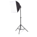 Lampenset voor Fotostudio | 70 W | 5500 K | 4000 lm | Werk hoogte: 60-180 cm | Inclusief lampen: 2 | Inclusief reistas | Zwart