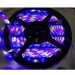FLEXIBELE LEDSTRIP - RGB EN KOUDWIT - 300 LEDS - 5 m - 12 V