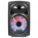 TS170033 Fenton FPS12 Mobiel Geluidssysteem 12" 
