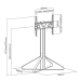 TV Vloerstandaard | 43 - 65 " | Maximaal schermgewicht: 35 kg | Fixed Design | Aanpasbare vooraf ingestelde hoogtes | Aluminium / Staal | Zwart