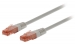 CAT6 UTP Netwerkkabel RJ45 (8/8) Male - RJ45 (8/8) Male 0.25 m Grijs