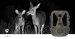 Wildcamera | 4K@10fps | 50 MPixel | 8 MPixel CMOS | IP65 | Zwart No-Glow IR | Nachtzicht | Kijkhoek: 100 ° | Bewegingssensor | Detectiehoek: 120 ° | Detectiebereik: 25 m | Scherm grootte: 2.4 " | LCD-Scherm | Bruin / Groen