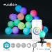 SmartLife Decoratieve Verlichting | Feestverlichting | Wi-Fi | RGB / Wit | 20 LED's | 10 m | Android™ | Diameter bulb: 50 mm
