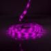 SmartLife LED Strip | Wi-Fi | Koel Wit / RGB / Warm Wit | SMD | 5.00 m | IP21 | 2700 - 6500 K | 960 lm | Android™ / IOS